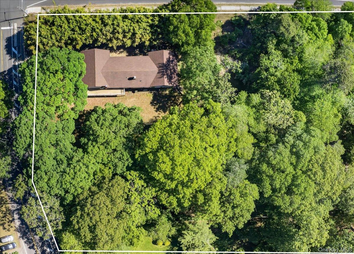 52 Victory Avenue Property Photo 3