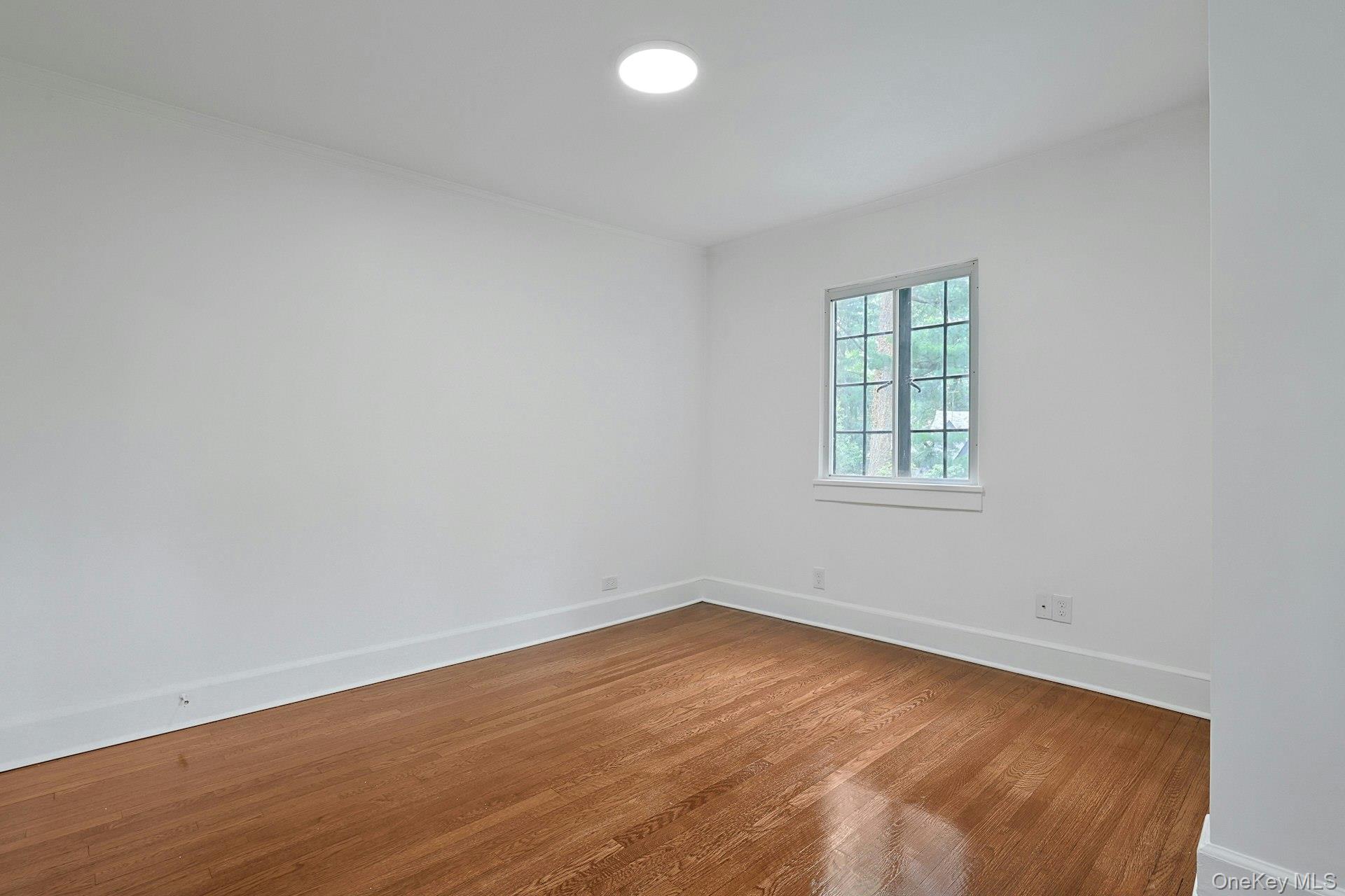 14 Withington Road Property Photo 25