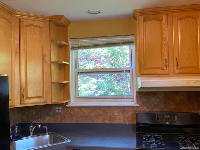 264-17 73rd. Avenue E-2 Property Photo 9