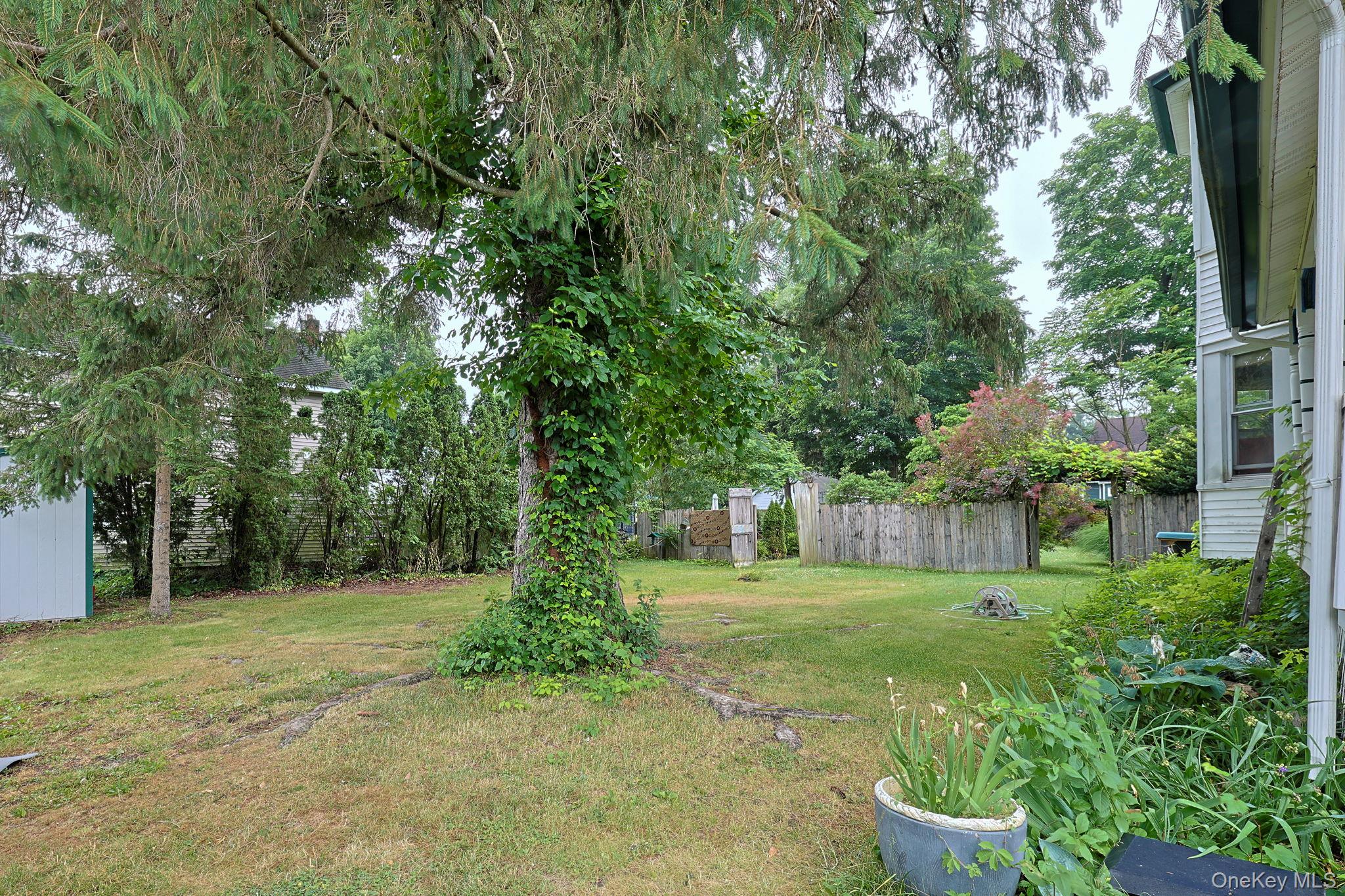 8 Bartlett Street Property Photo 22