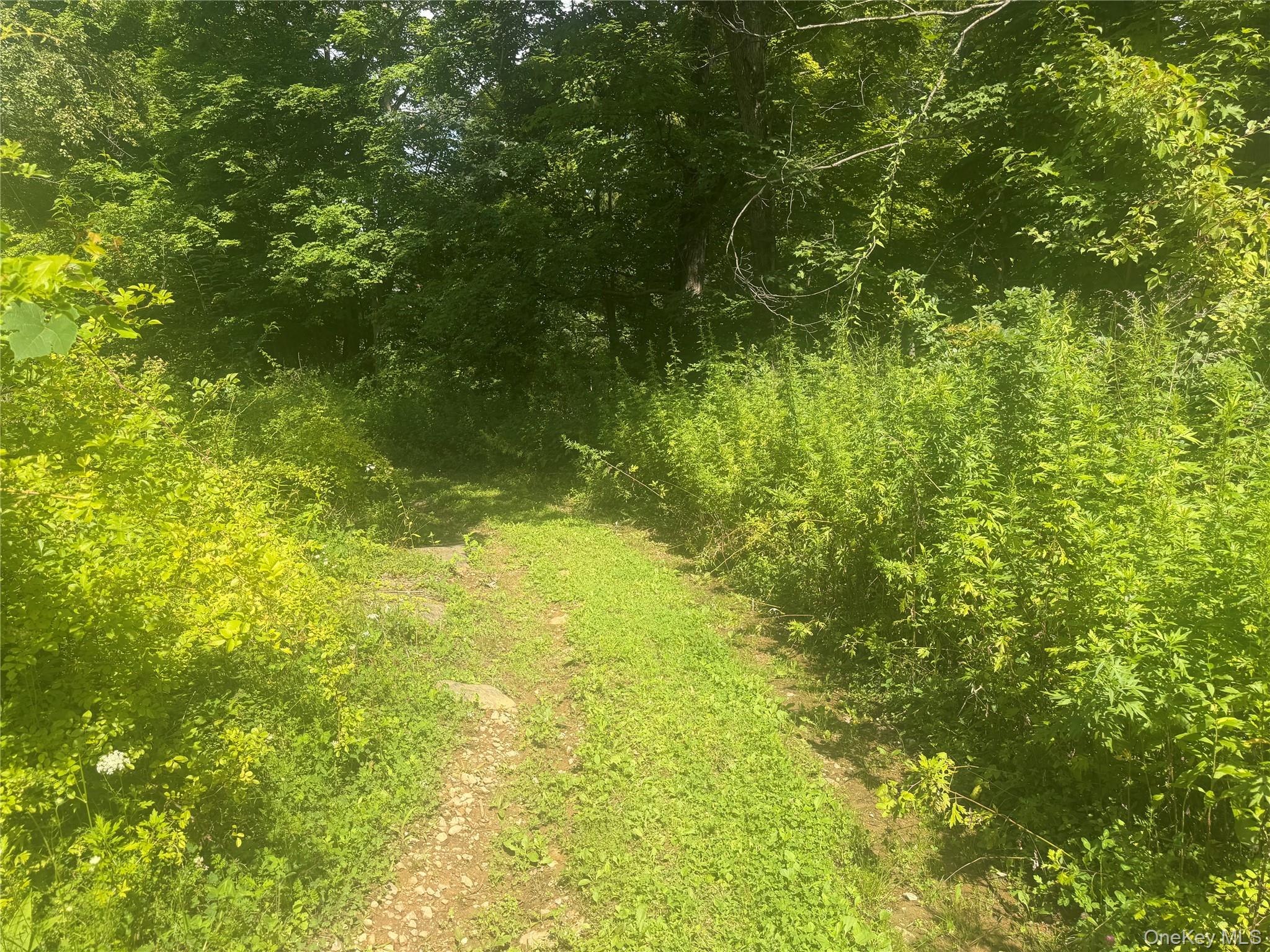 701 Fair Street Property Photo 26