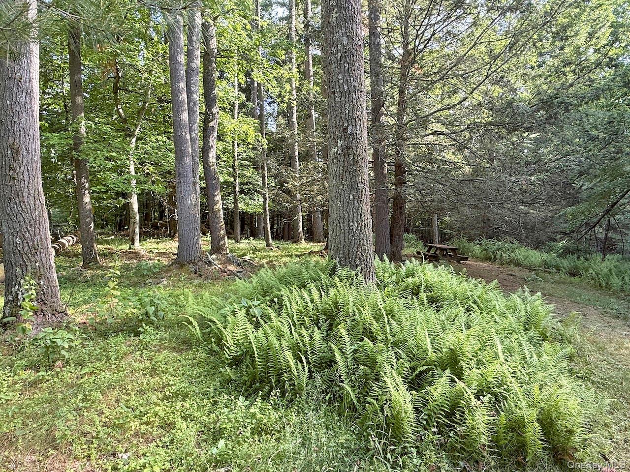 11 Nordic Drive Property Photo 37