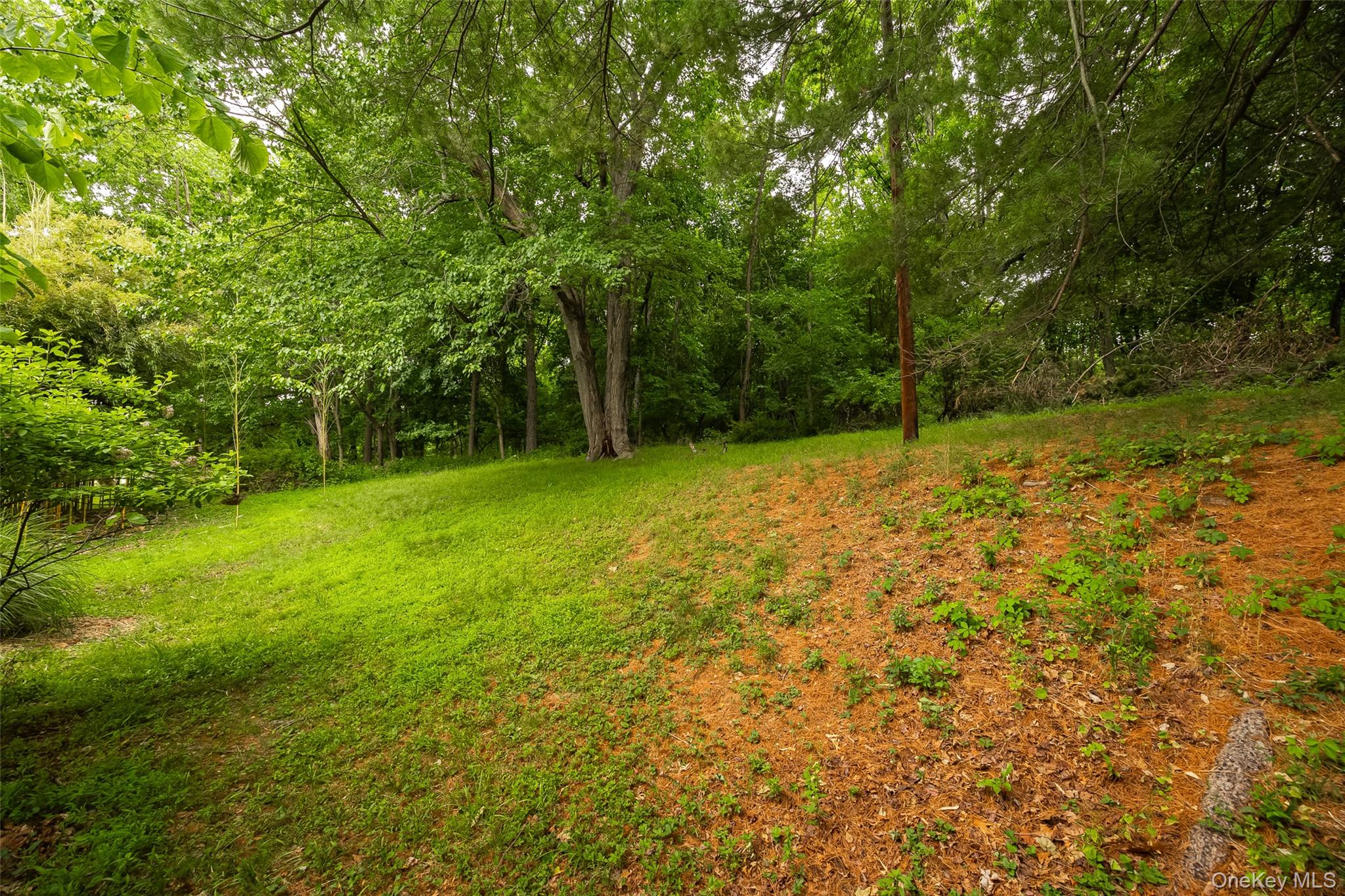 166 Vassar Road Property Photo 22