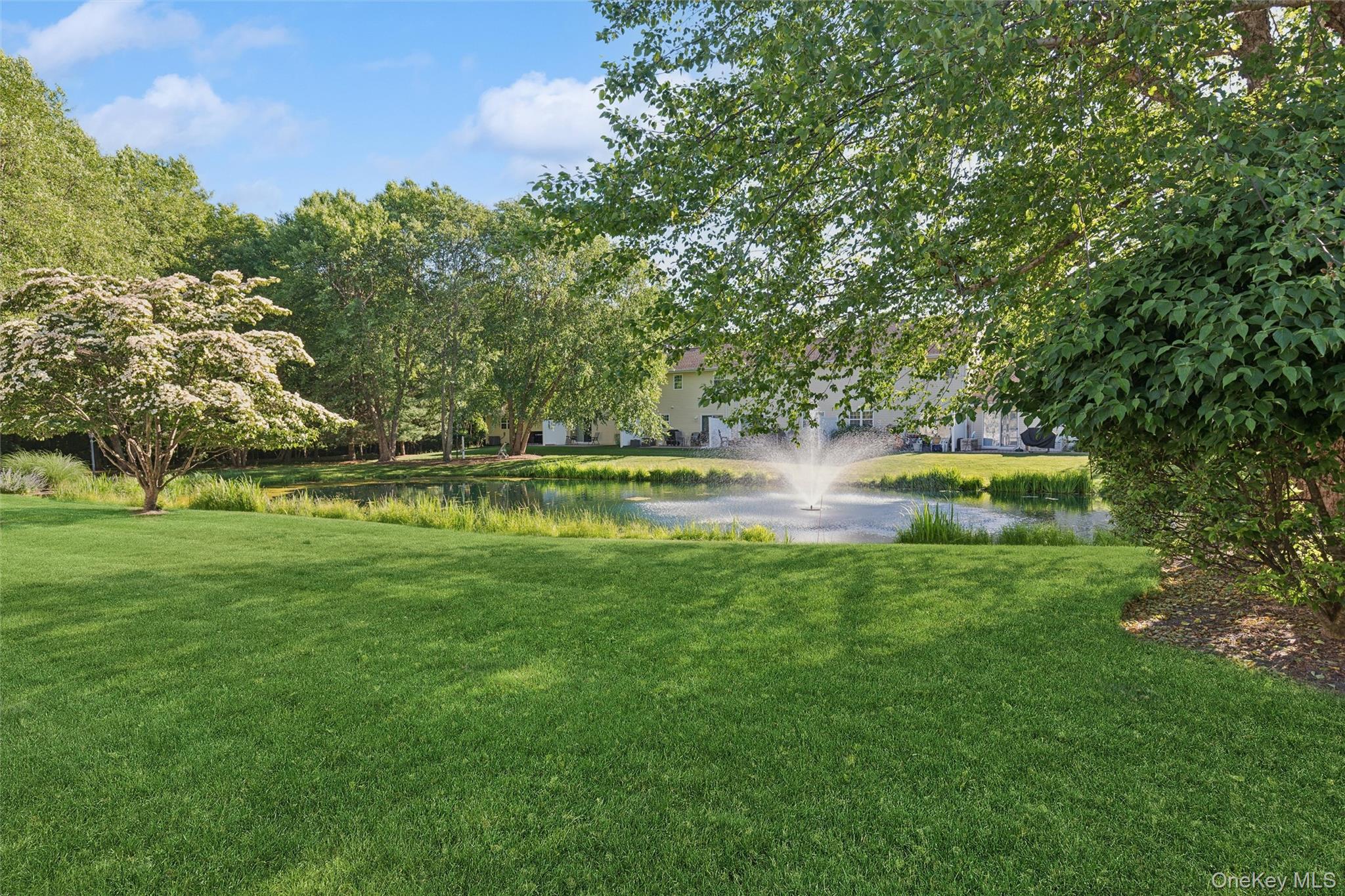 42 Blueberry Common Property Photo 7