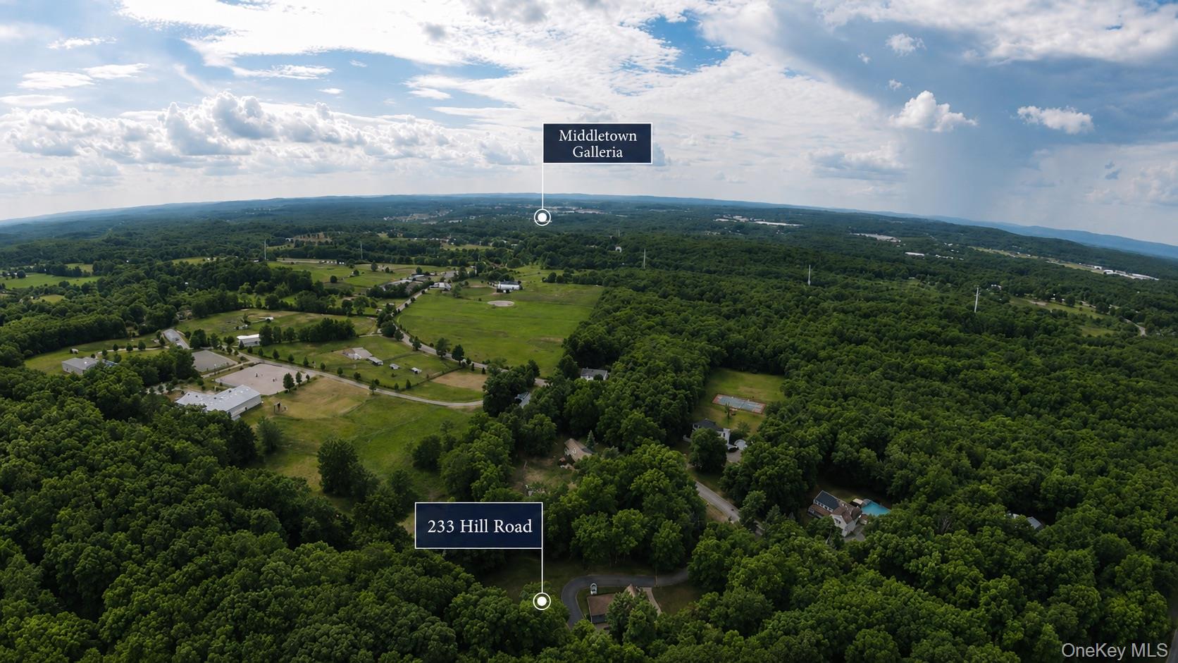 233 Hill Road Property Photo 45
