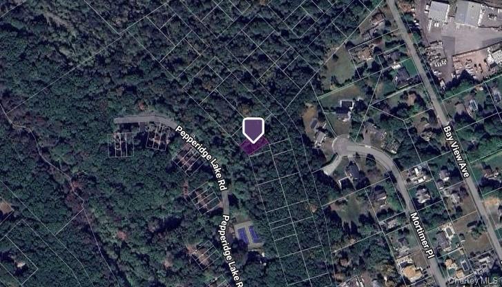 Vacant Land Park Avenue Property Photo 1