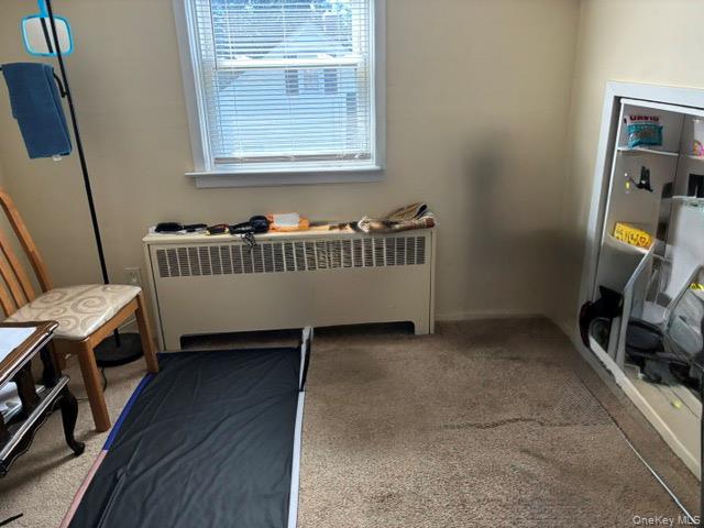 169 W 21st Street Property Photo 13