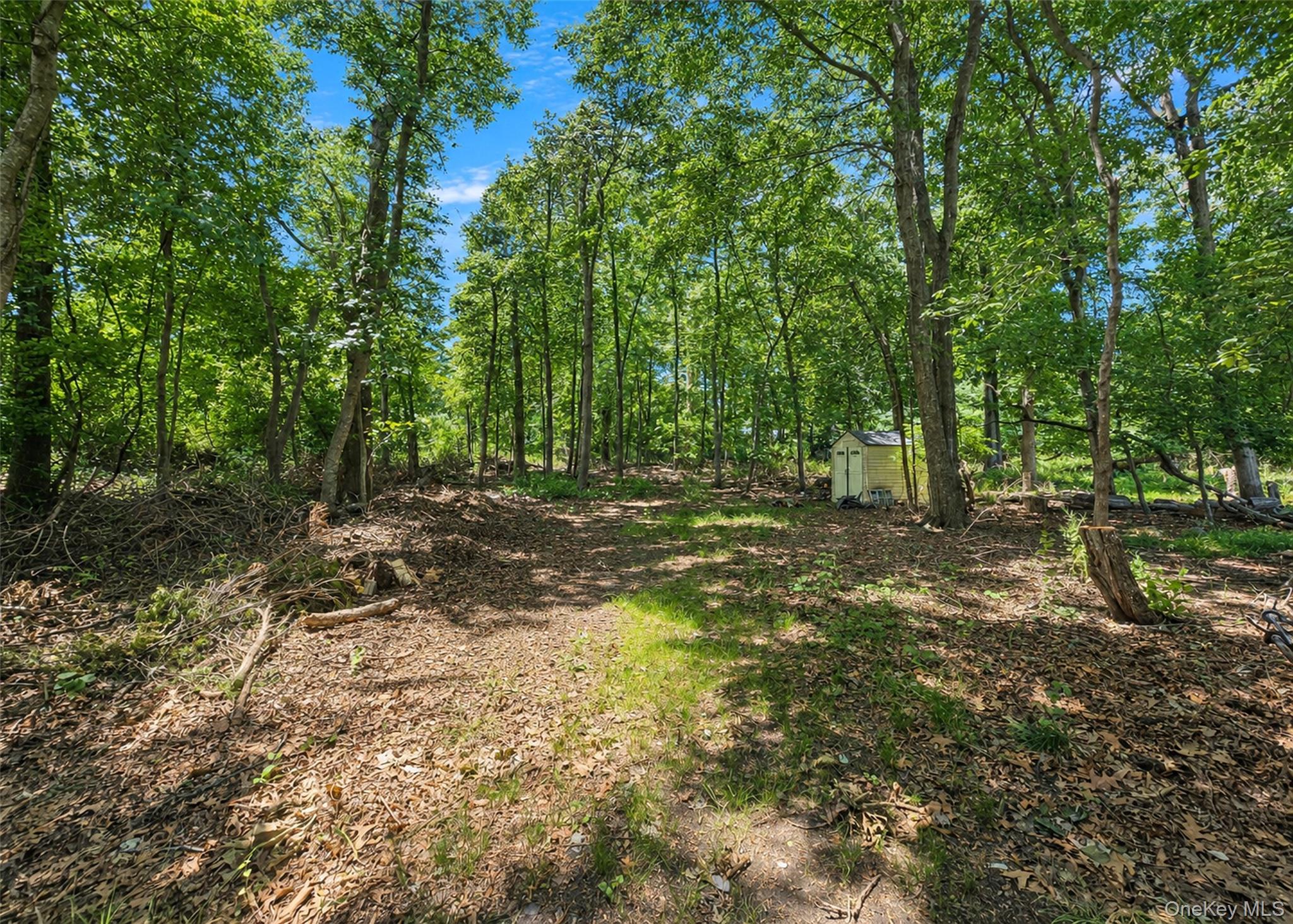 88 Westfield Road Property Photo 21