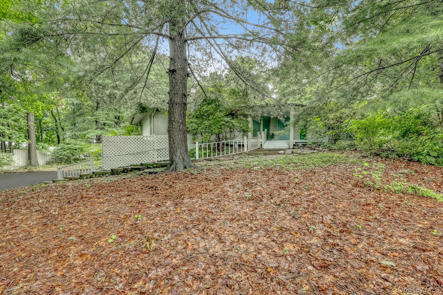 49 Halley Drive Property Photo 1