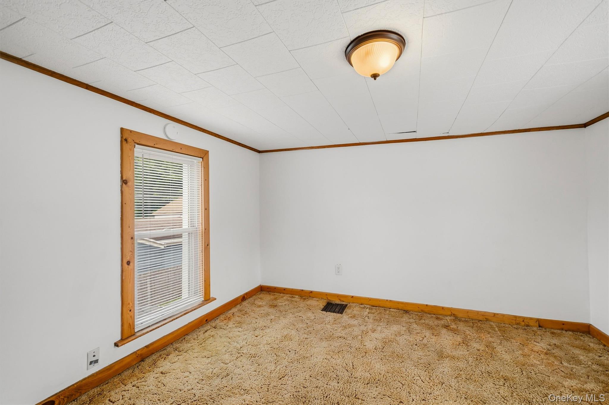 15 Delaware Street Property Photo 21