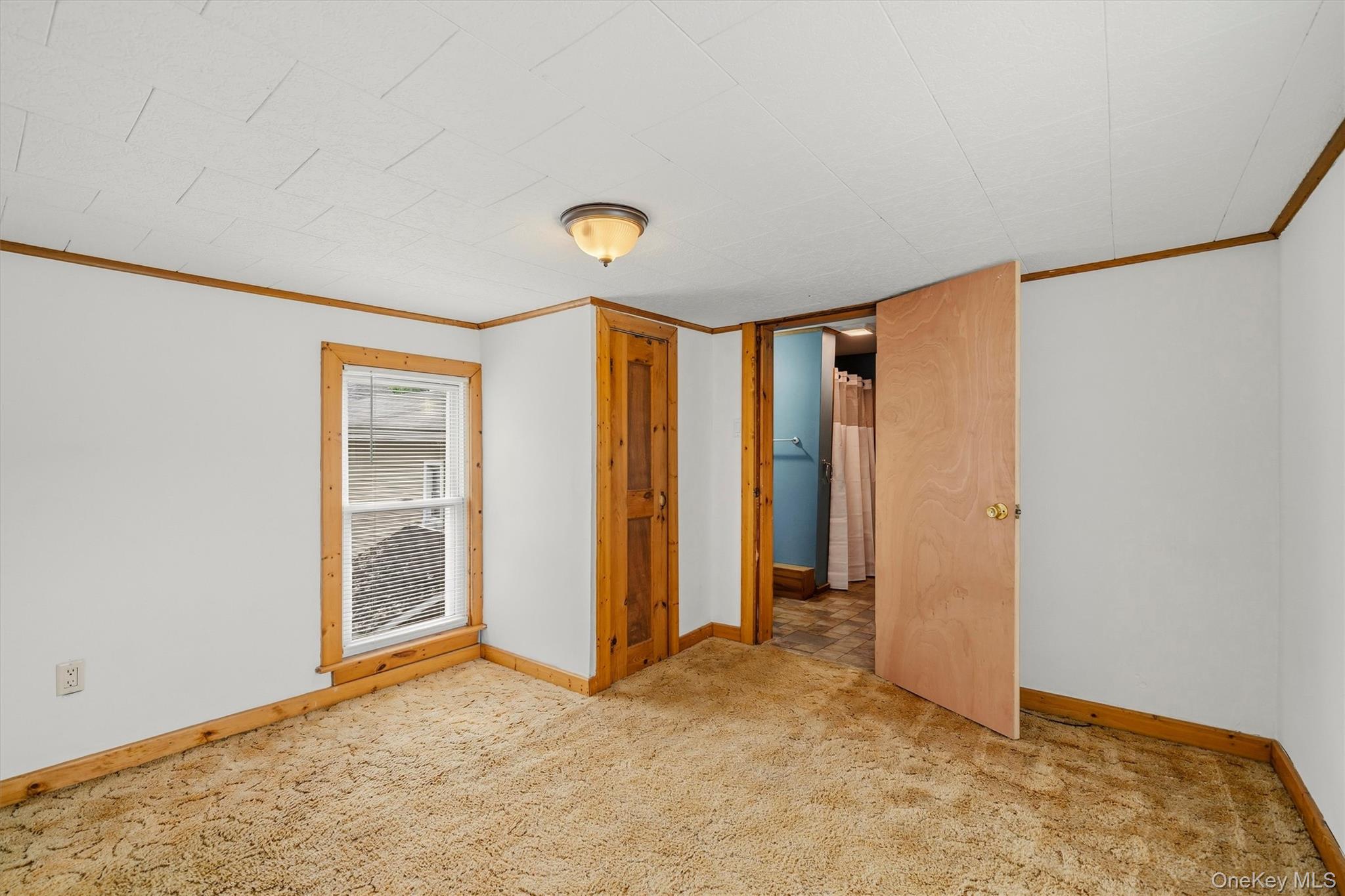 15 Delaware Street Property Photo 22