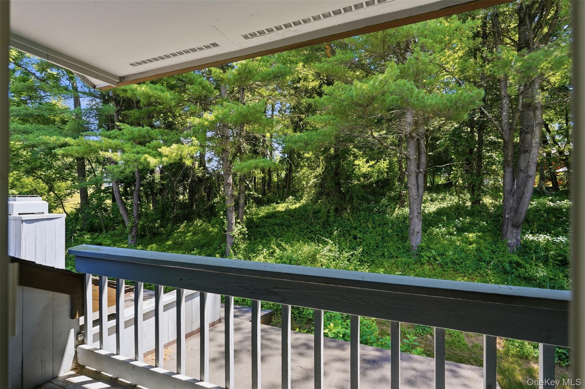 28 E Knoll Property Photo 17
