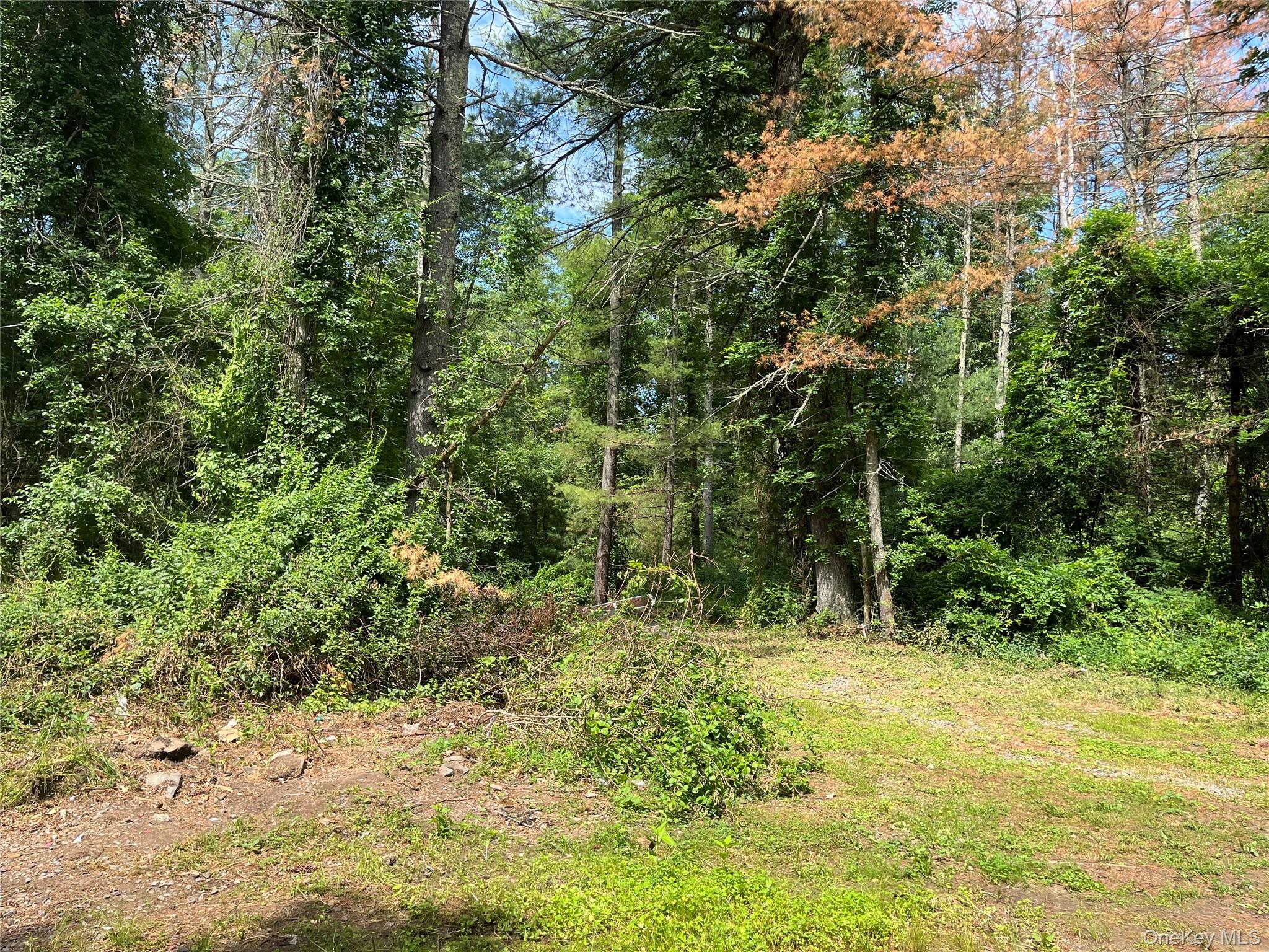 1145 Glasco Turnpike Property Photo 2