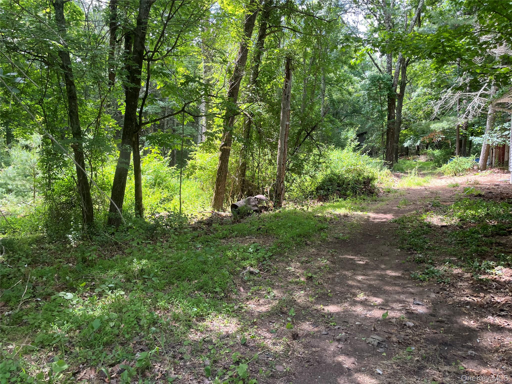 1145 Glasco Turnpike Property Photo 3