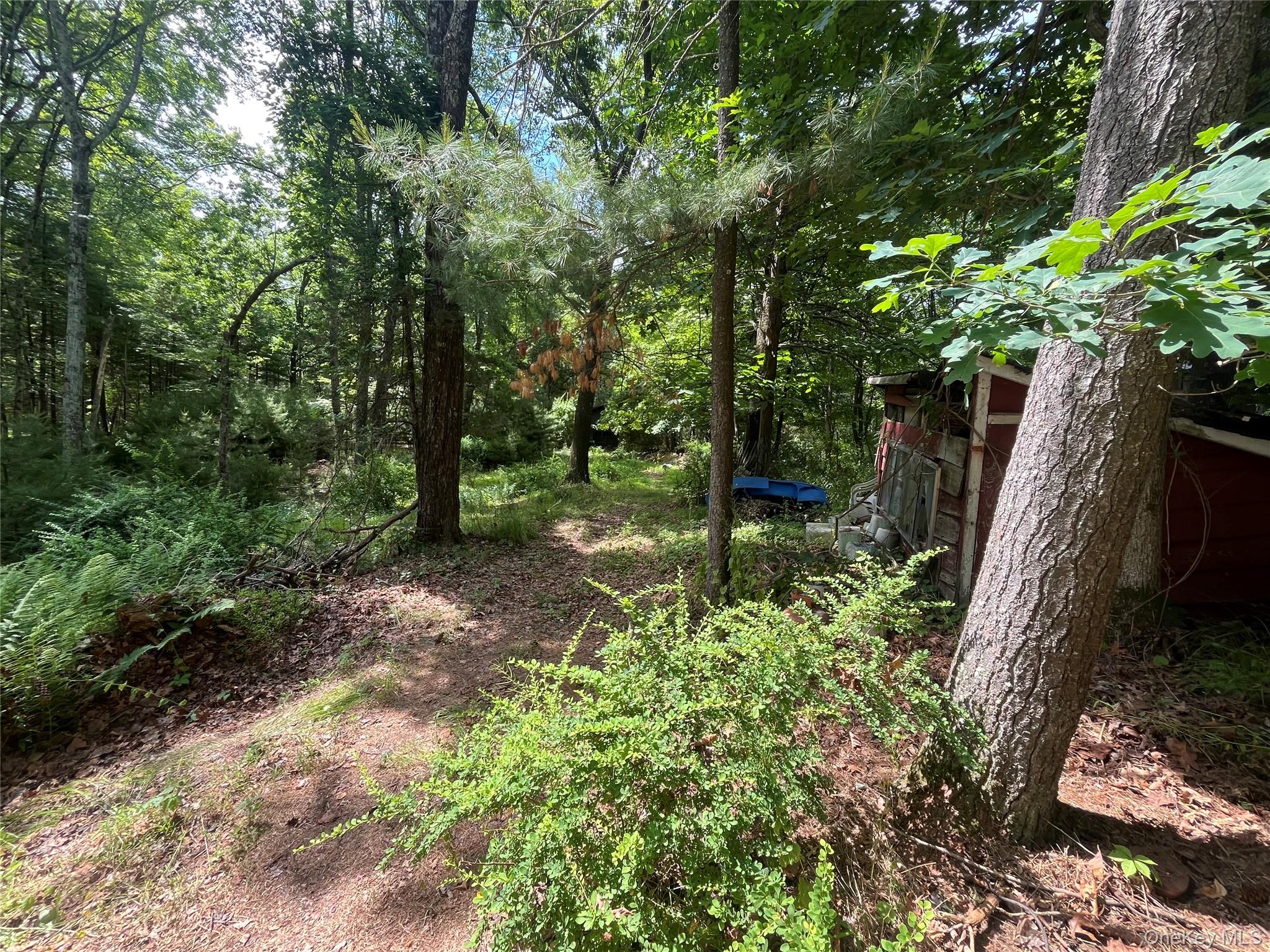 1145 Glasco Turnpike Property Photo 7