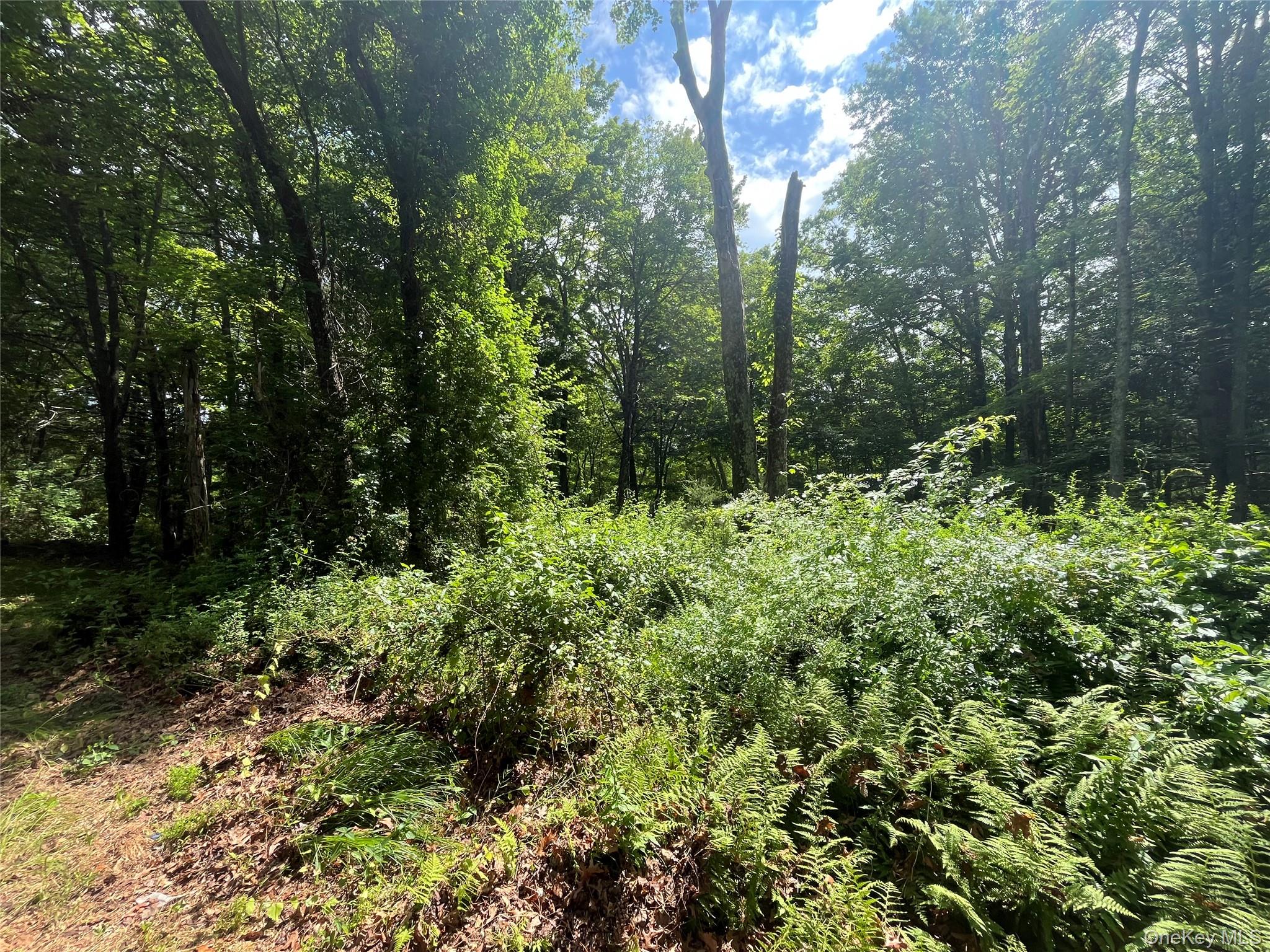 1145 Glasco Turnpike Property Photo 10