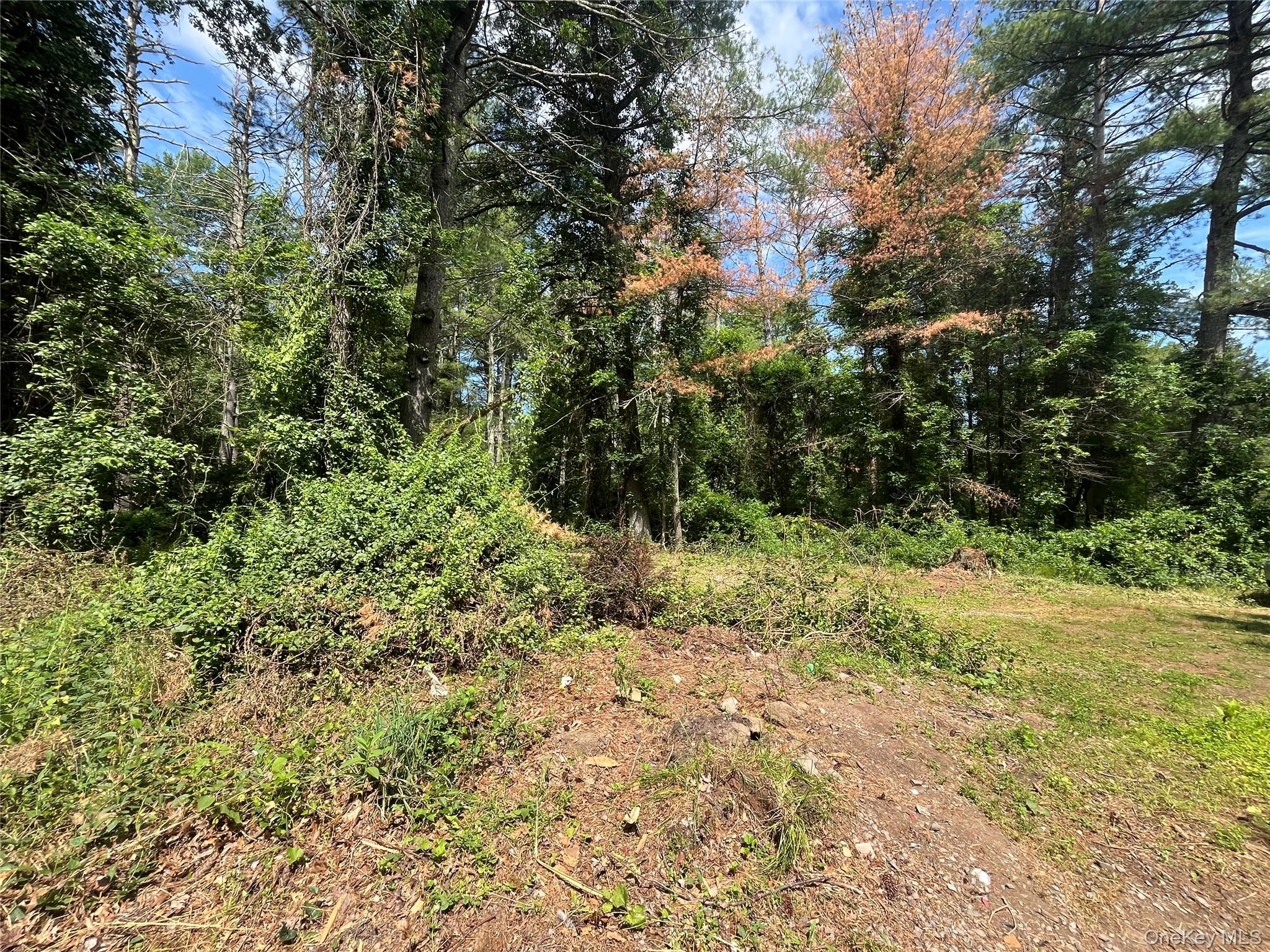 1145 Glasco Turnpike Property Photo 12