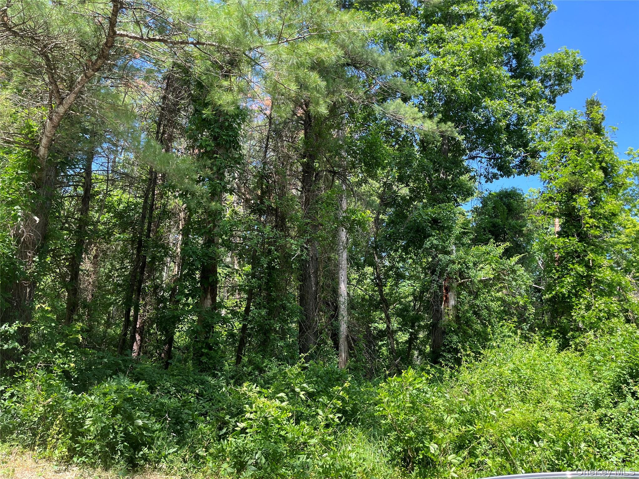 1145 Glasco Turnpike Property Photo 28
