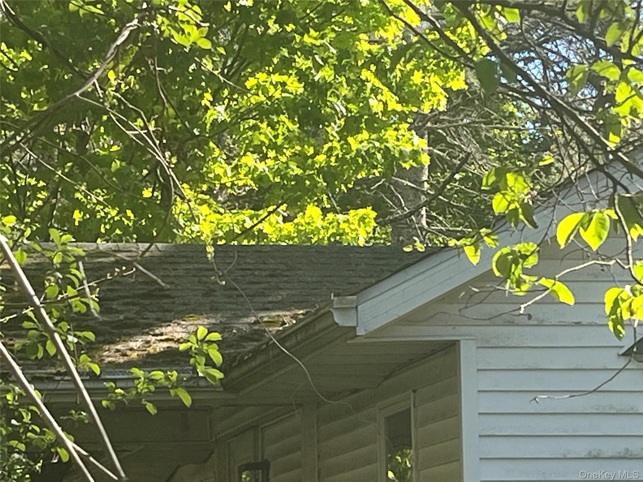 1145 Glasco Turnpike Property Photo 36