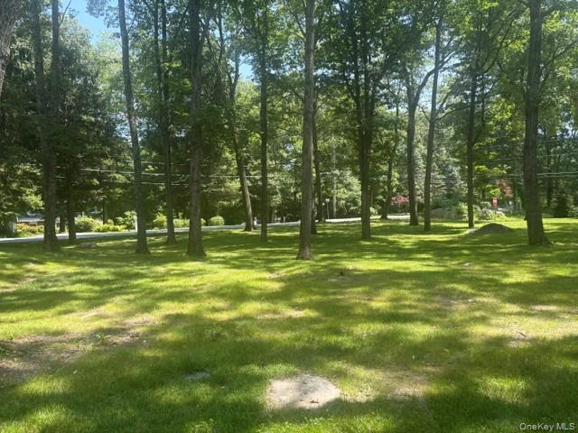 18 Laurel Road Property Photo 40