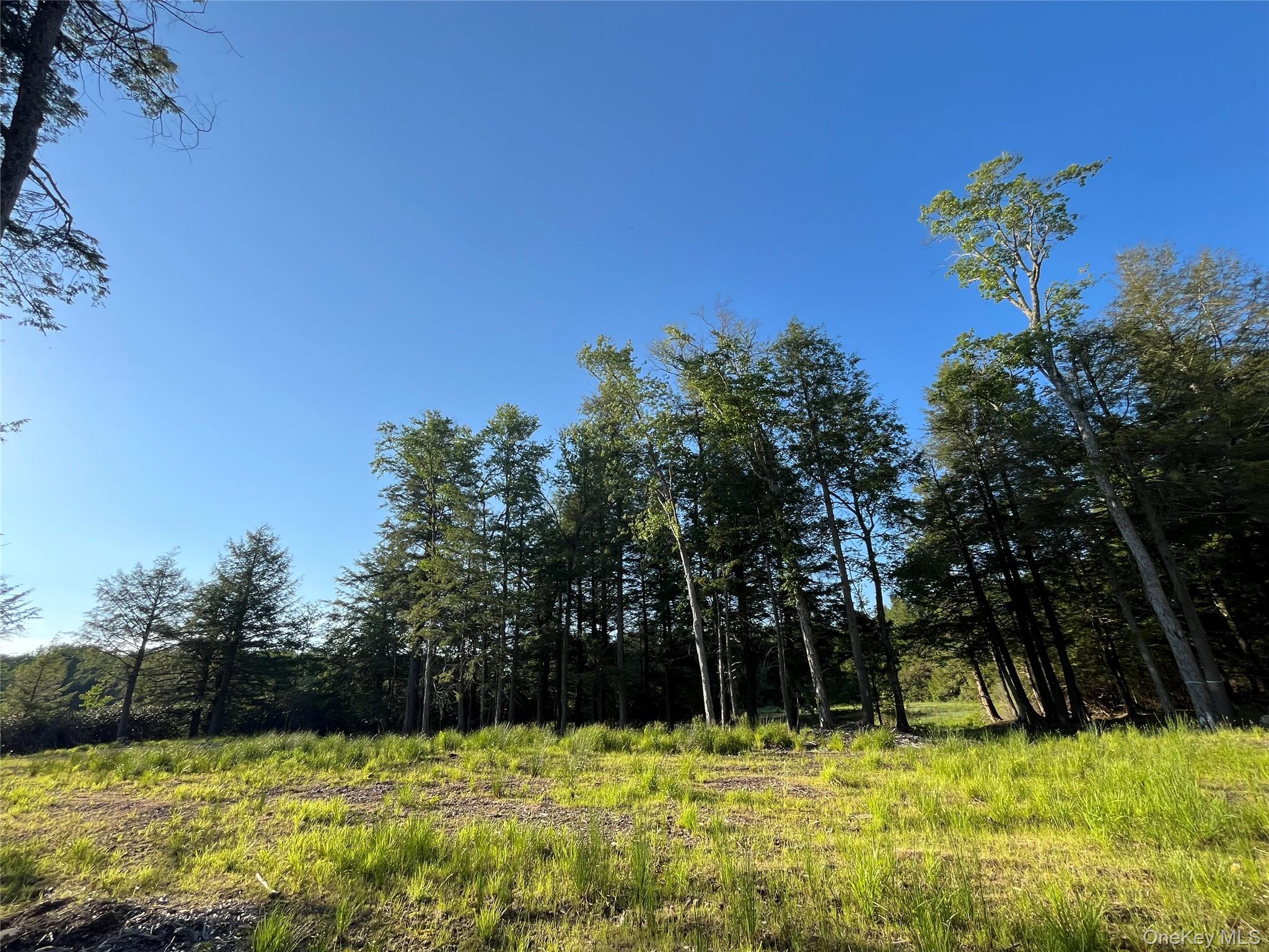 47 Eagles Ridge Way Property Photo 12