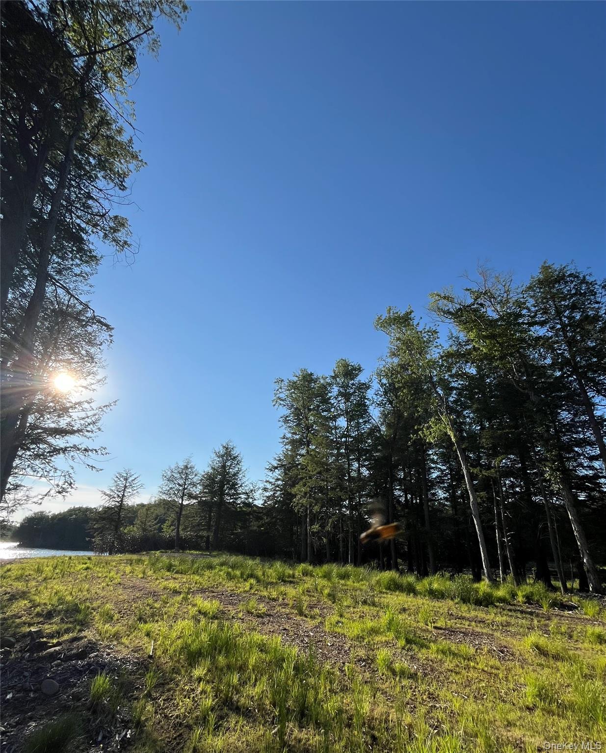 47 Eagles Ridge Way Property Photo 13