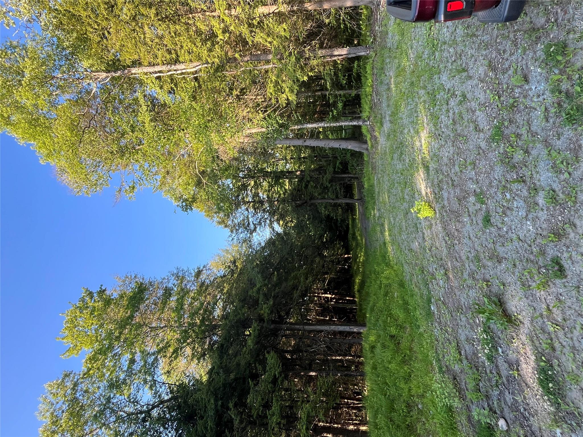 47 Eagles Ridge Way Property Photo 14