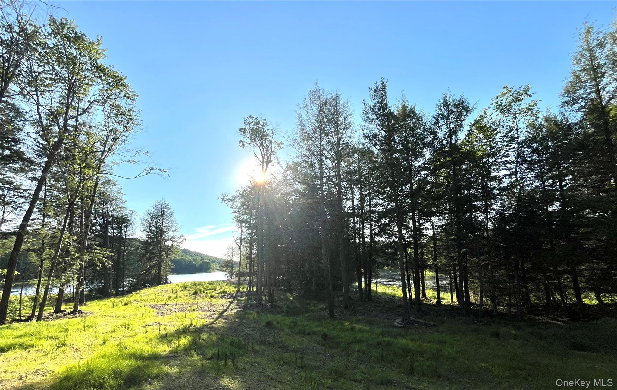 47 Eagles Ridge Way Property Photo 19