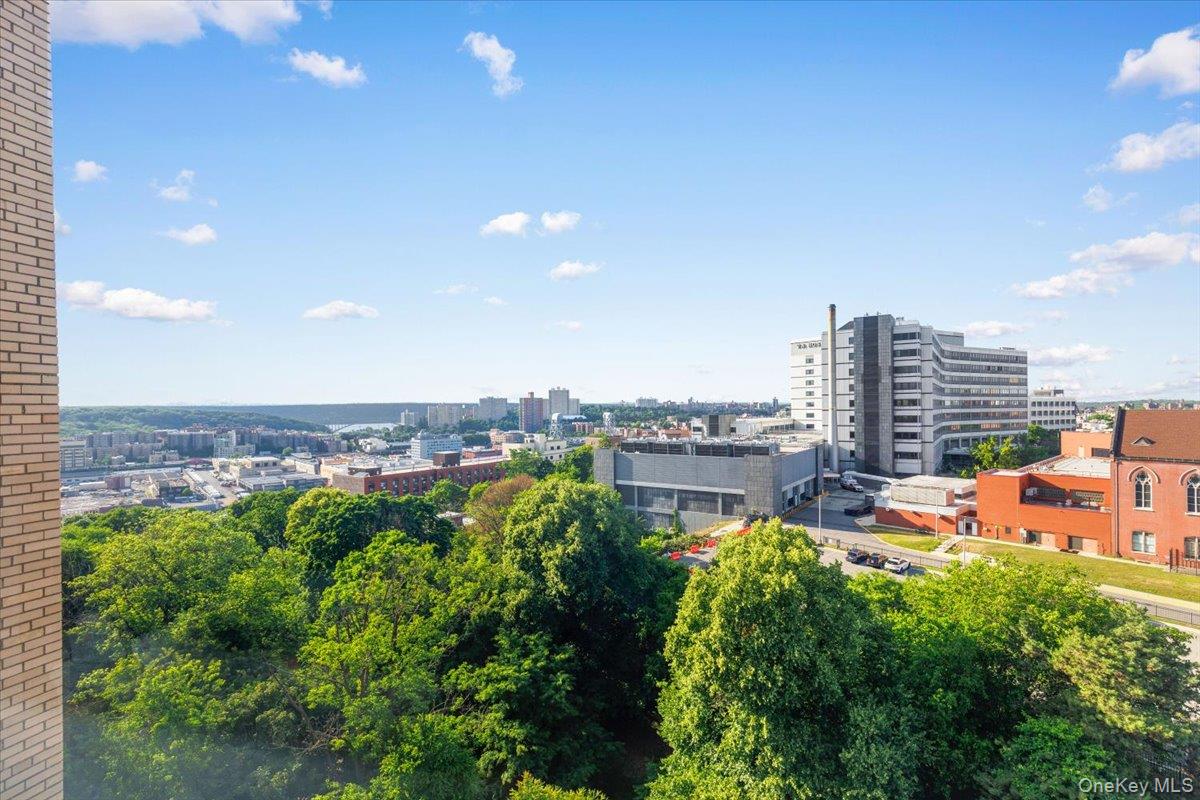 6 Fordham Hill Oval 12h Property Photo 18