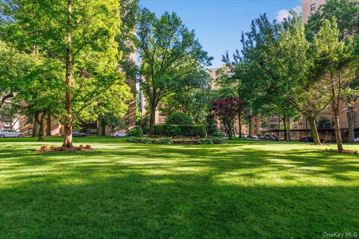 6 Fordham Hill Oval 12h Property Photo 20