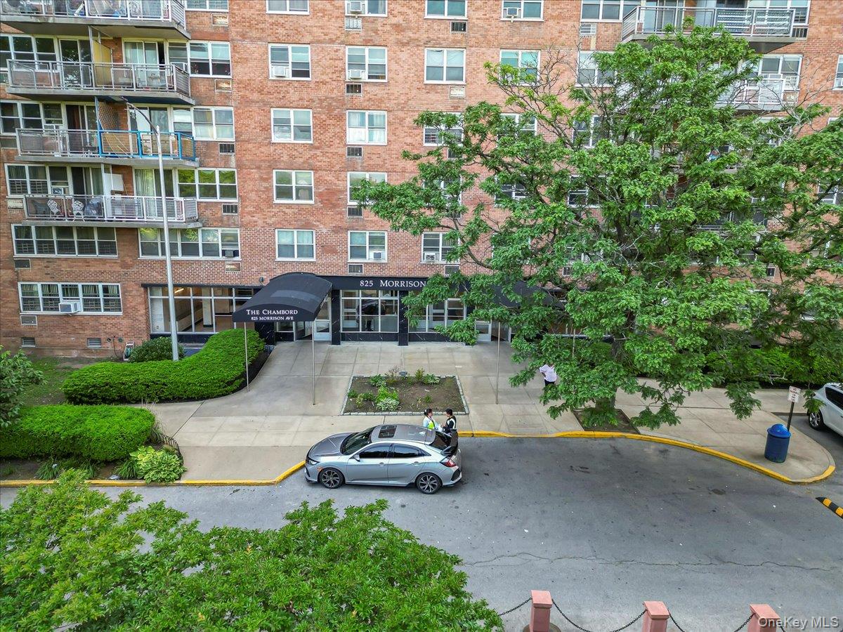 825 Morrison Avenue 16a Property Photo 31