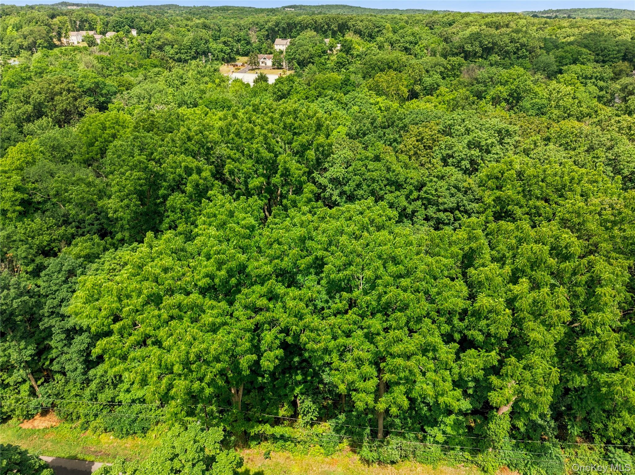 59 Mailler Avenue Property Photo 19