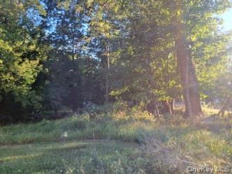 144 Old Haverstraw Road Property Photo 3