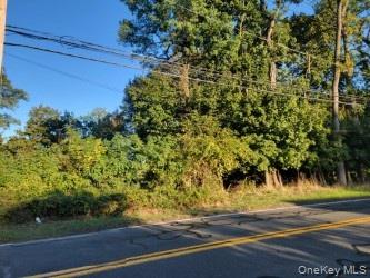 144 Old Haverstraw Road Property Photo 4