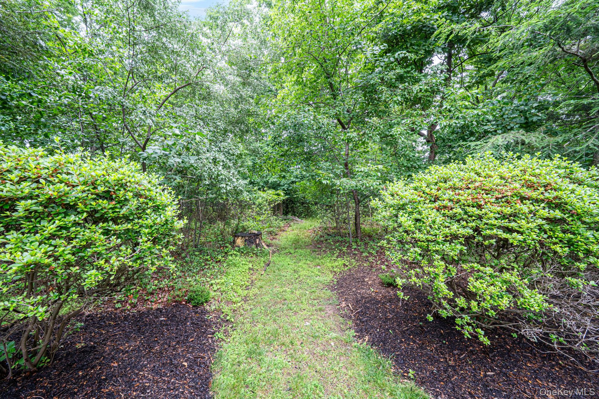 3 Liberty Lane Property Photo 39