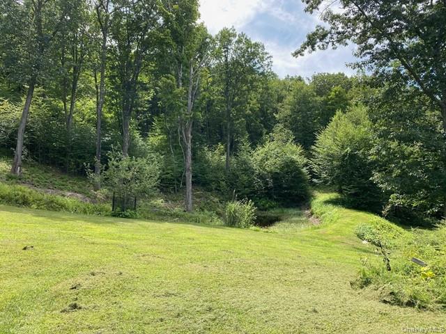 Mile High Road Property Photo 1