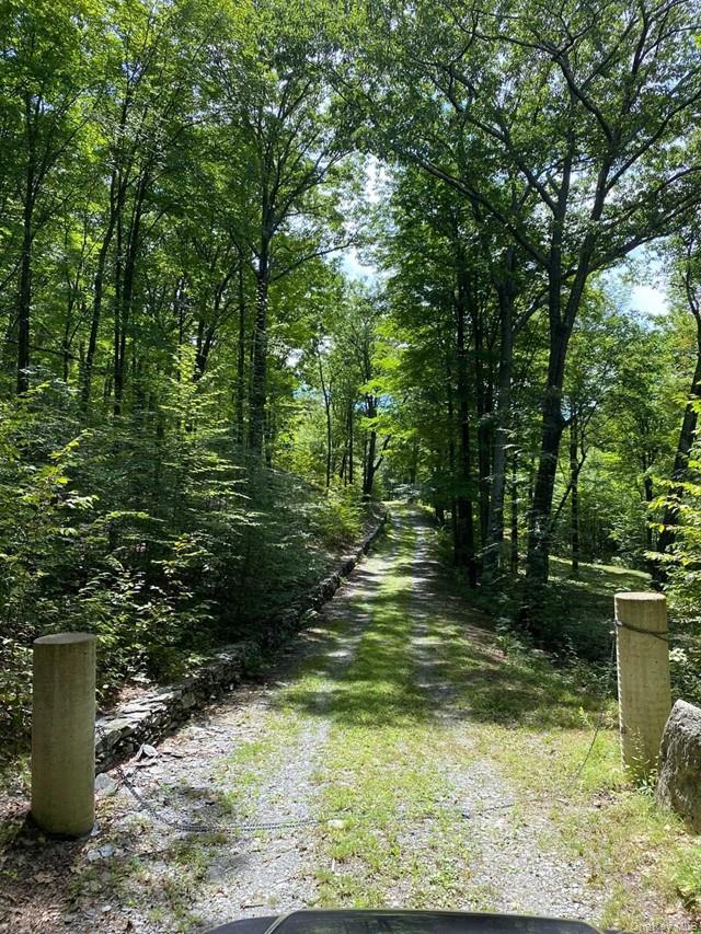 Mile High Road Property Photo 2