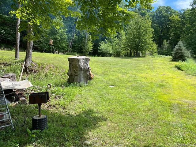 Mile High Road Property Photo 3
