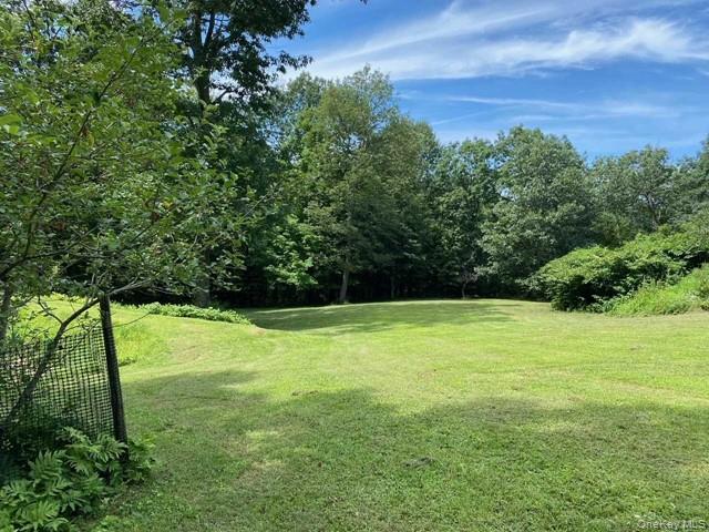 Mile High Road Property Photo 8