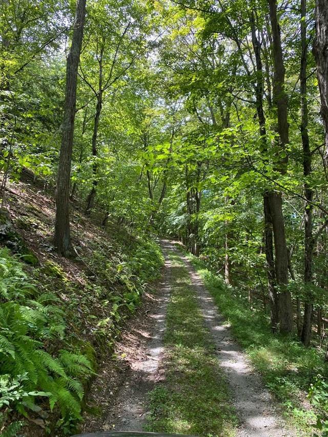 Mile High Road Property Photo 11