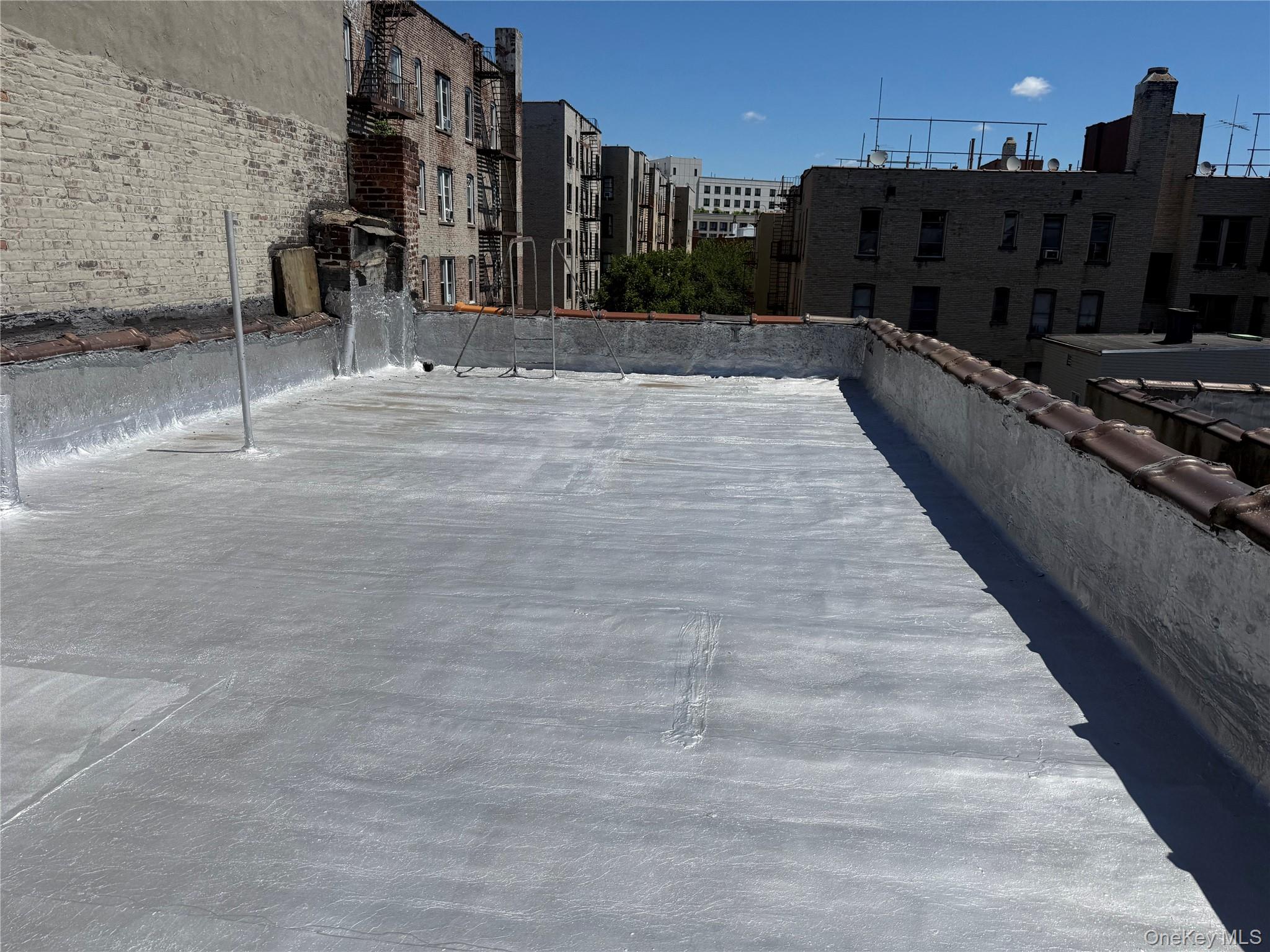 243 Bedford Park Boulevard Property Photo 4