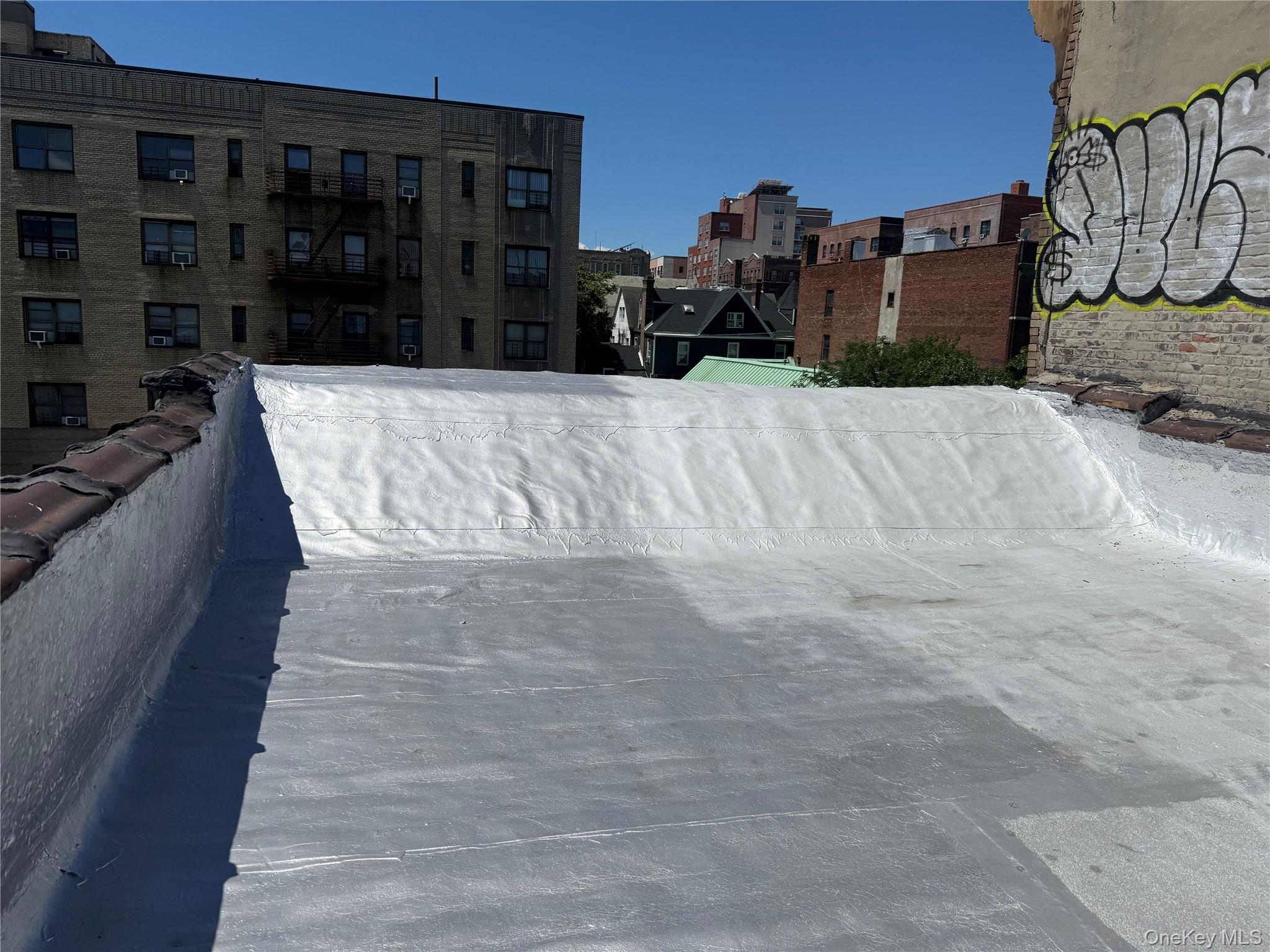 243 Bedford Park Boulevard Property Photo 5