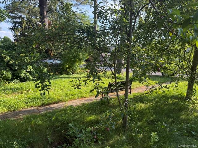 62 Murray Road Property Photo 42