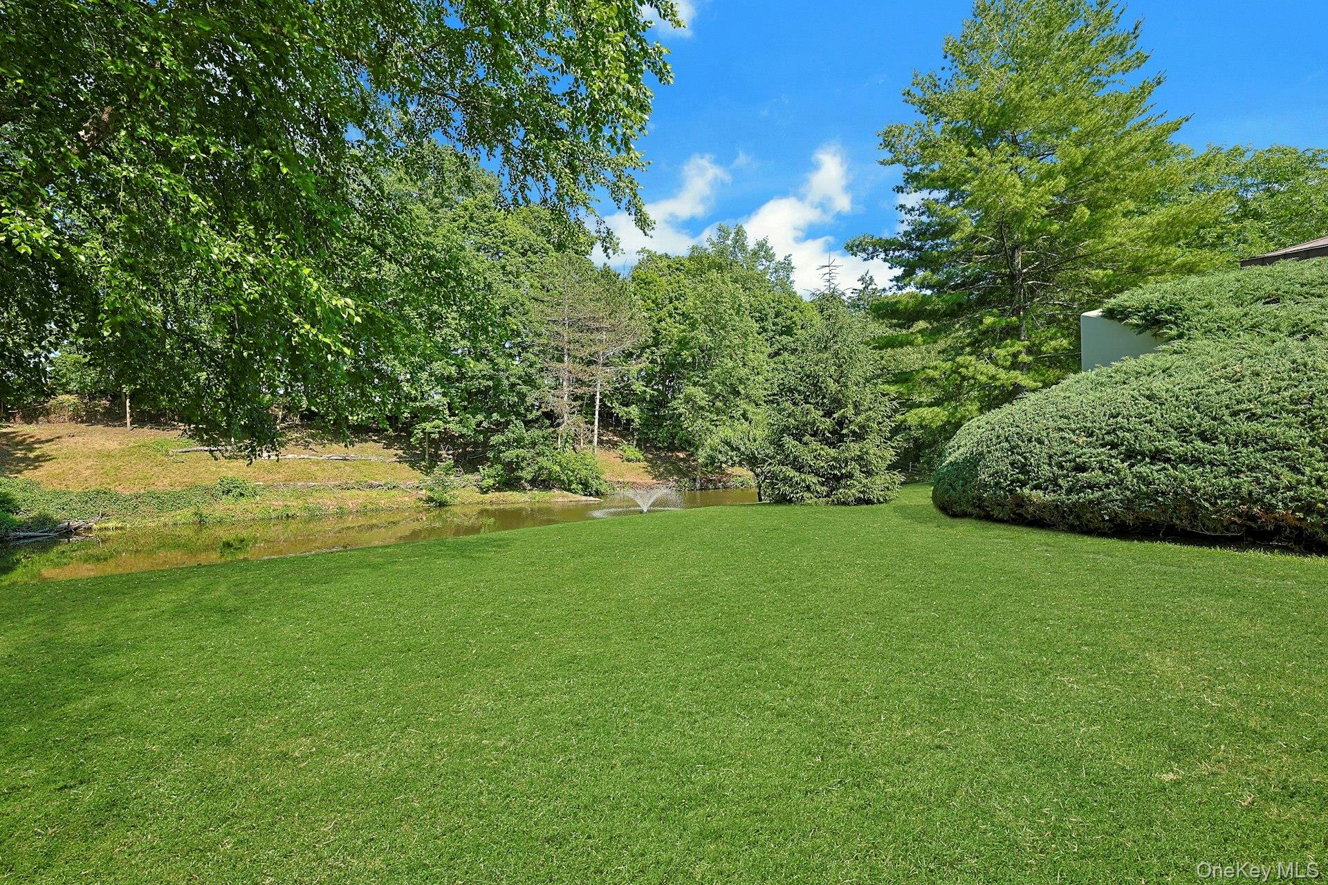 41 Murray Hill Road Property Photo 35