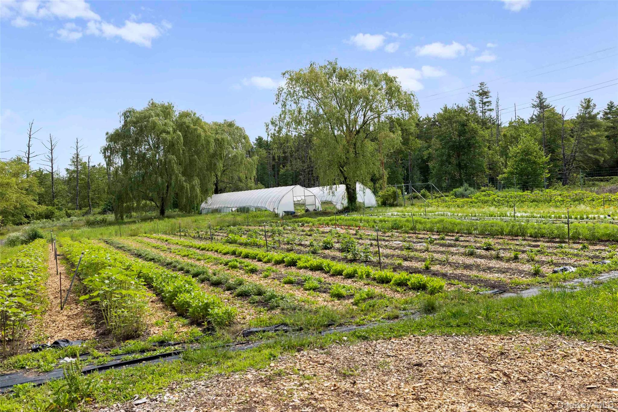 1389 Route 212 Property Photo 48