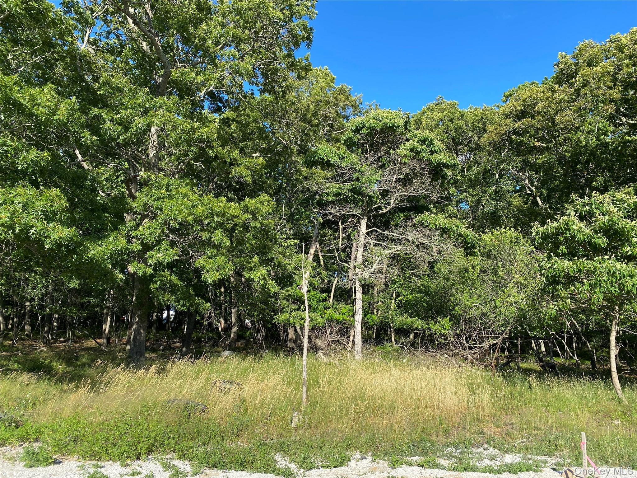Granny Road Property Photo 1