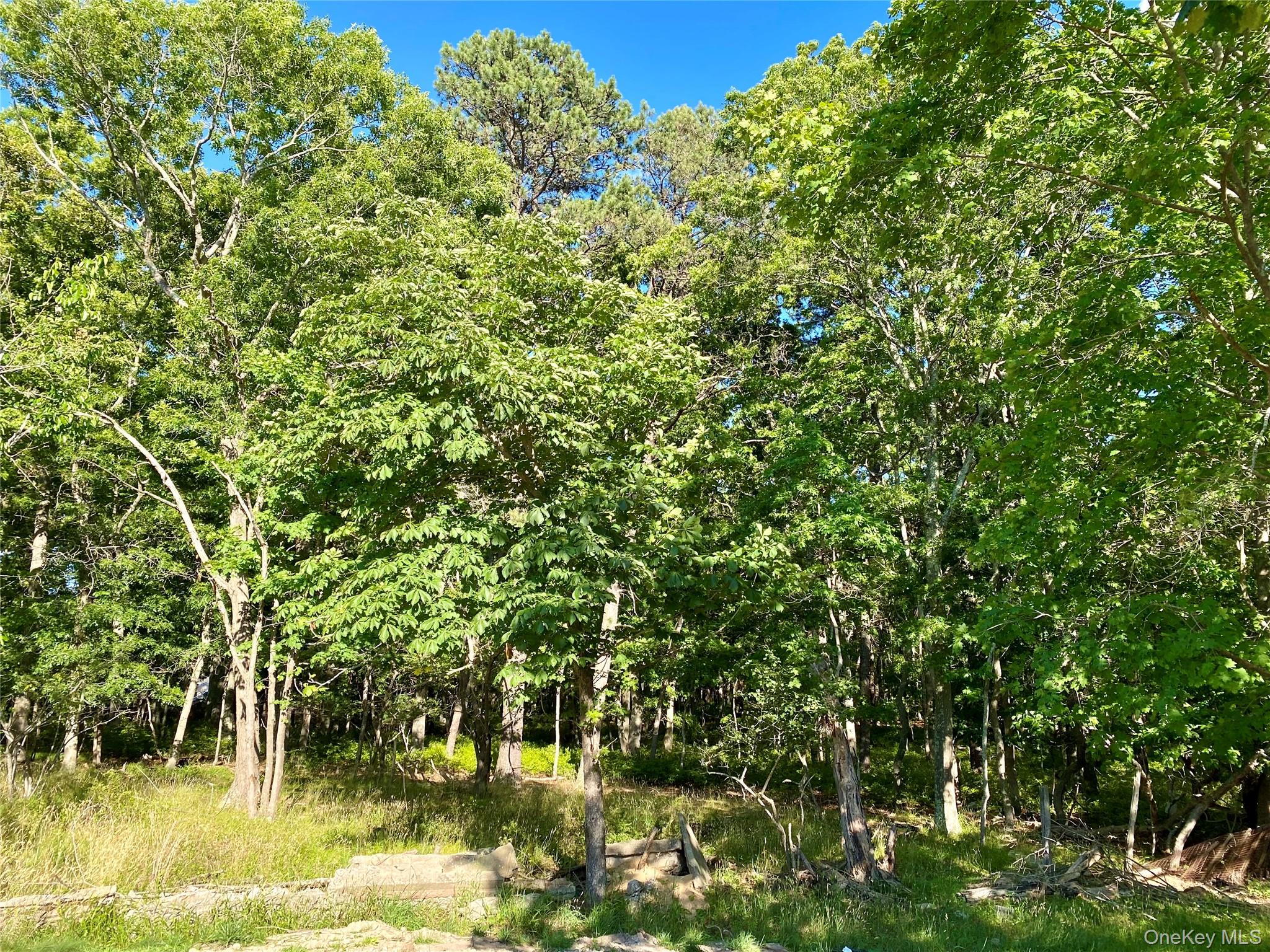 Granny Road Property Photo 1