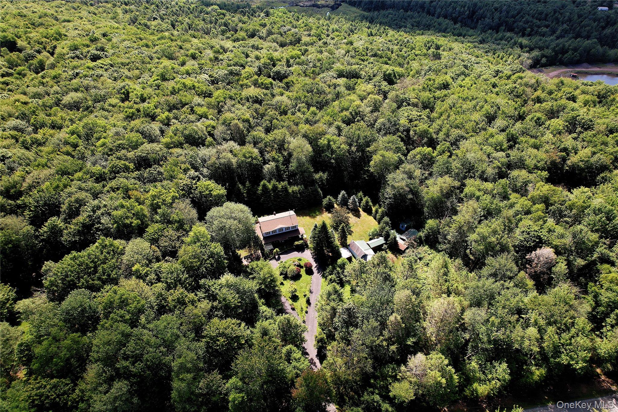 239 Burnt Ridge Road Property Photo 47