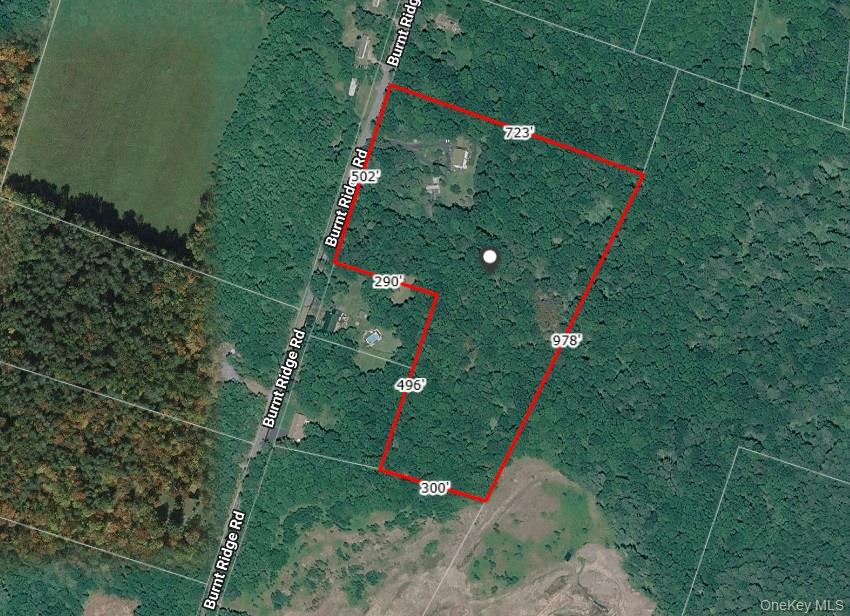 239 Burnt Ridge Road Property Photo 49