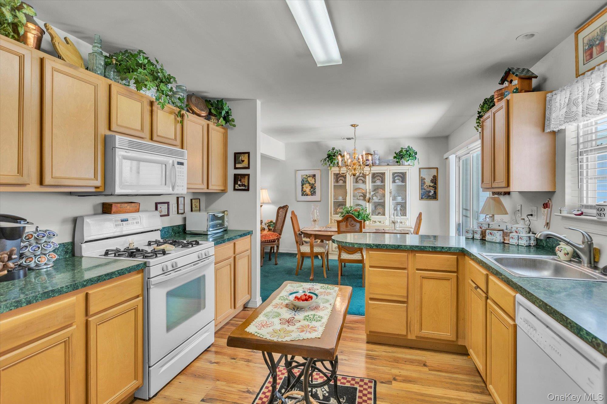 702 Pebble Beach Path Property Photo 14